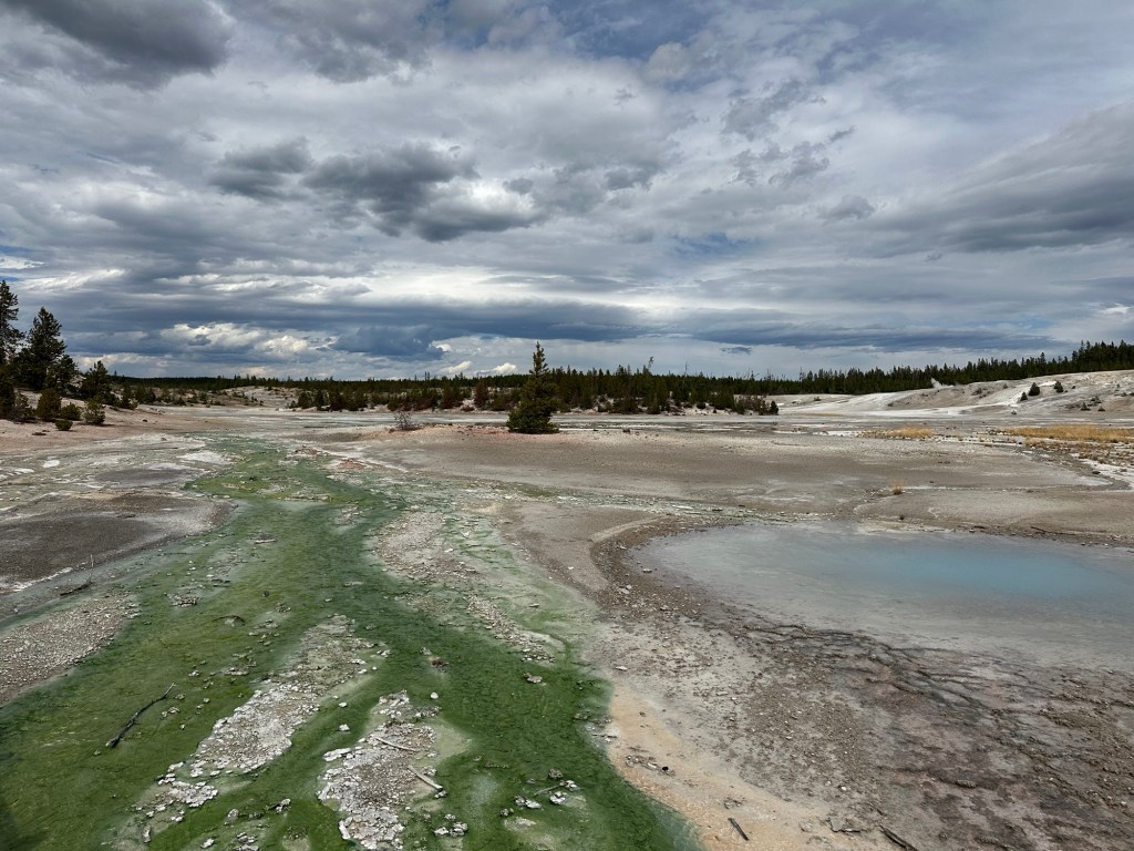 Norris Geyser Basin in Yellowstone National Park in Wyoming, USA.