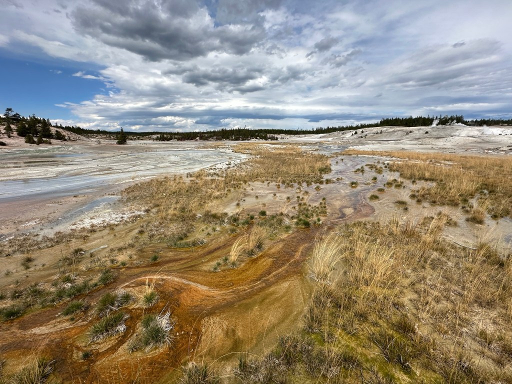 Norris Geyser Basin in Yellowstone National Park in Wyoming, USA.