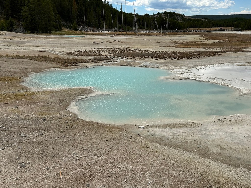 Norris Geyser Basin in Yellowstone National Park in Wyoming, USA.
