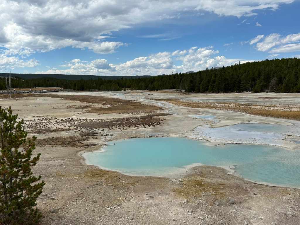 Norris Geyser Basin in Yellowstone National Park in Wyoming, USA.