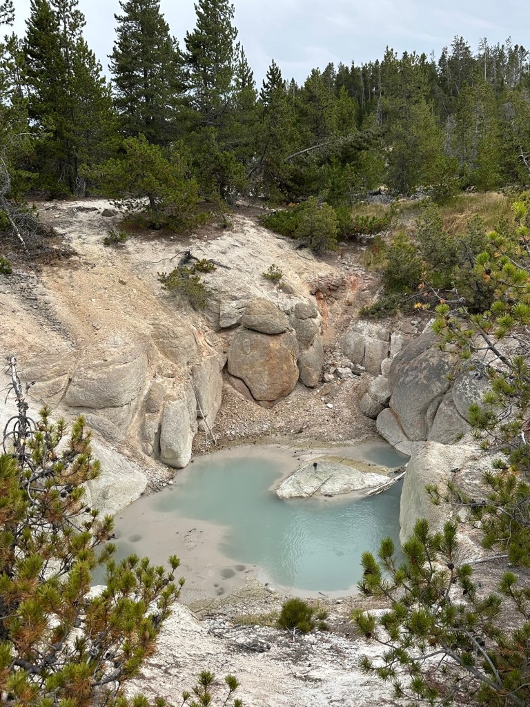 Norris Geyser Basin in Yellowstone National Park in Wyoming, USA.