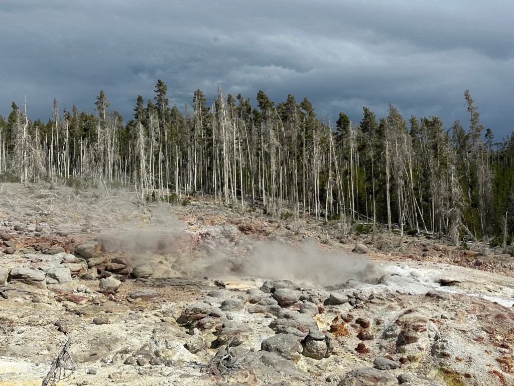 Steamboat Geyser in Yellowstone National Park in Wyoming, USA.