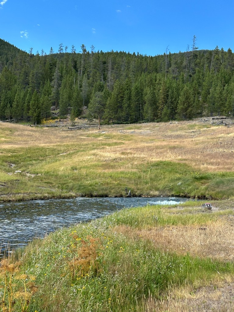 Terrace Spring in Yellowstone National Park in Wyoming, USA.