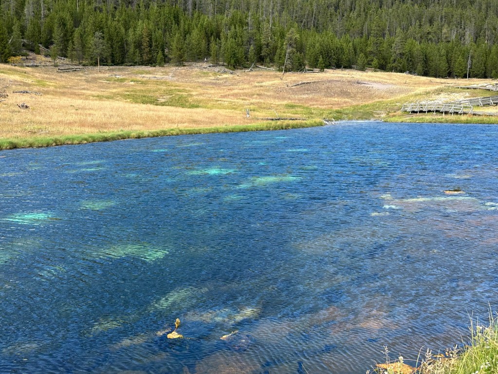 Terrace Spring in Yellowstone National Park in Wyoming, USA.
