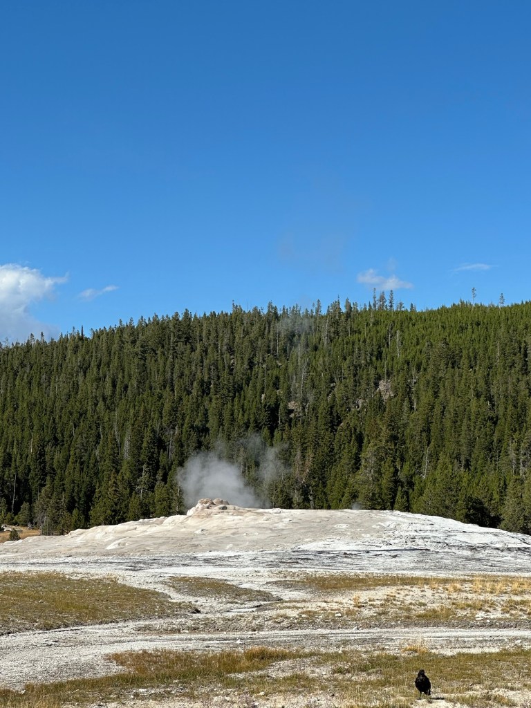 Old Faithful Geyser in Yellowstone National Park in Wyoming, USA.
