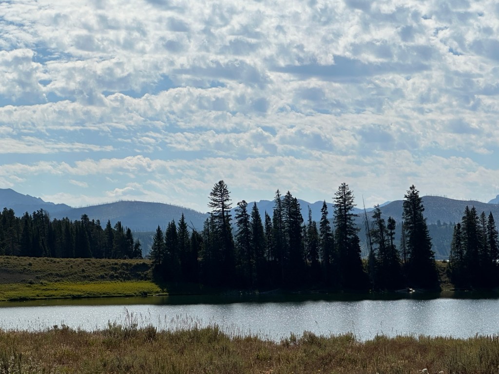 View from Hwy 212  in Yellowstone National Park in Wyoming, USA.