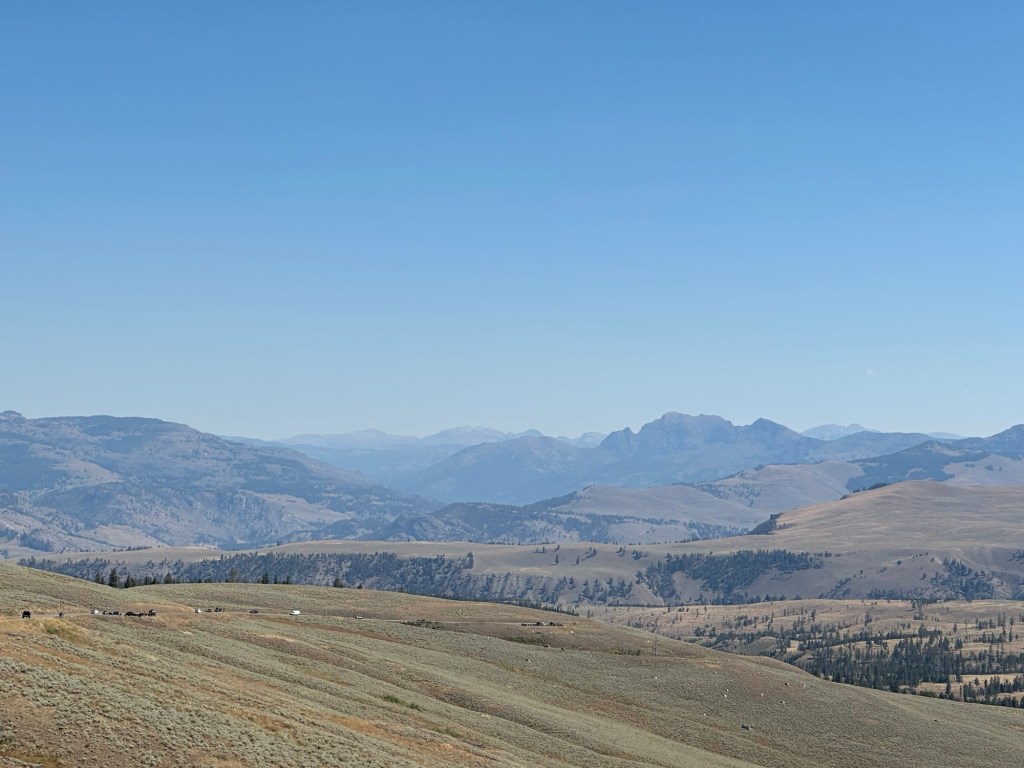 View from Hwy 212  in Yellowstone National Park in Wyoming, USA.