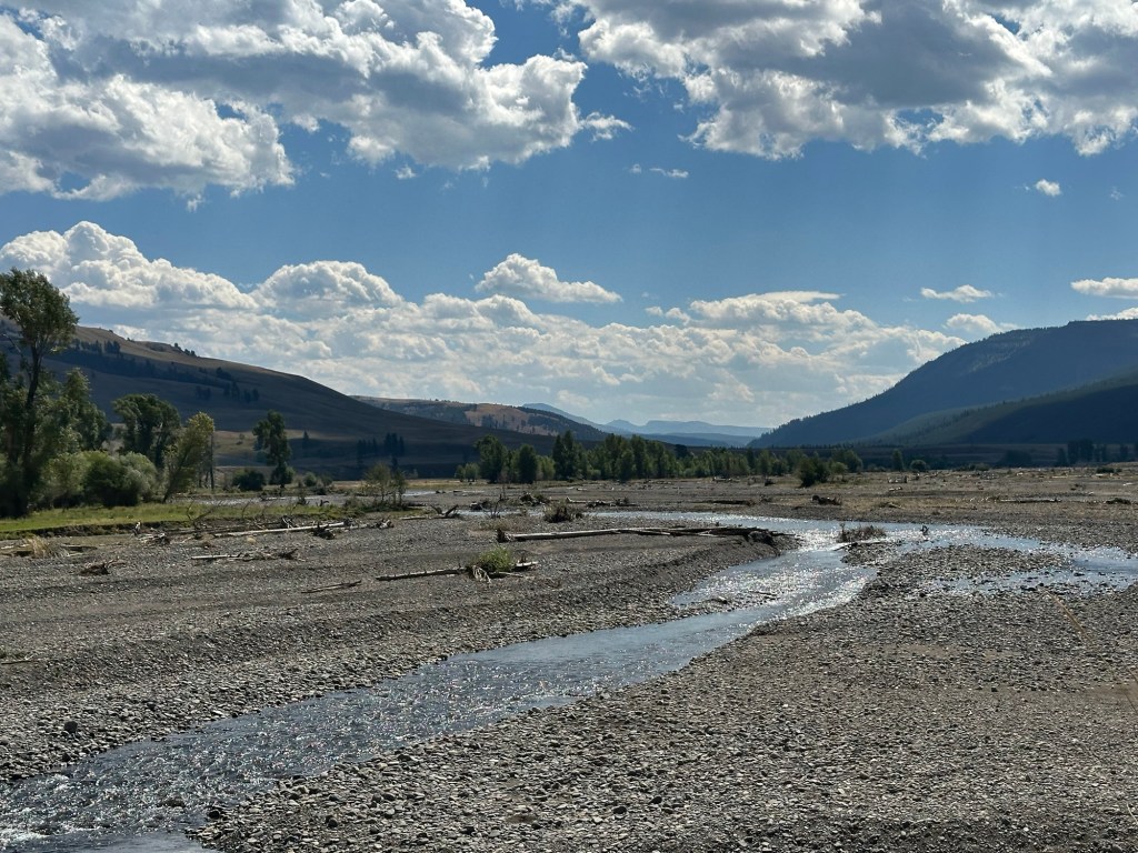View from Hwy 212  in Yellowstone National Park in Wyoming, USA.