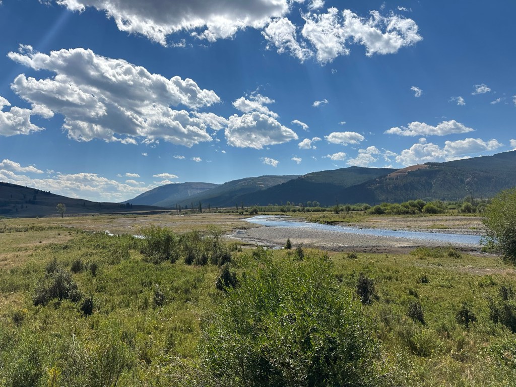 View from Hwy 212  in Yellowstone National Park in Wyoming, USA.