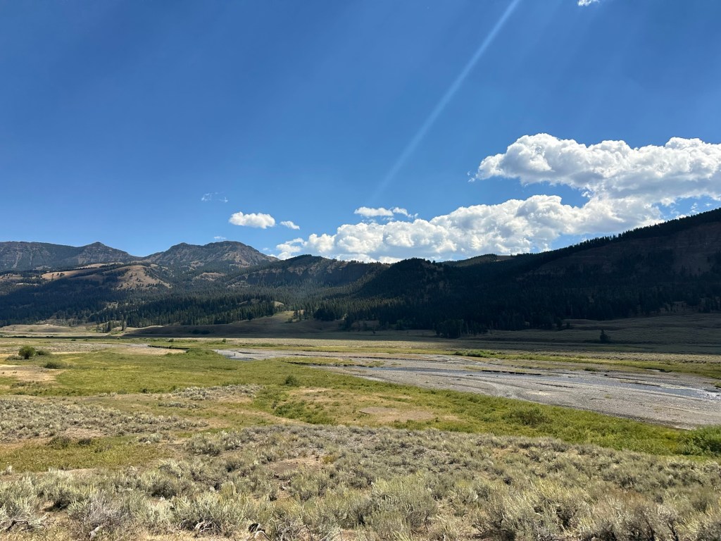 View from Hwy 212  in Yellowstone National Park in Wyoming, USA.