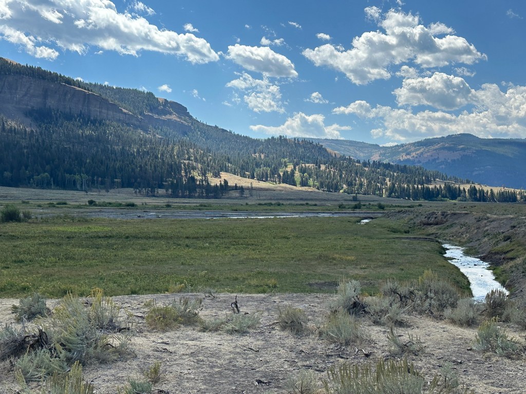 View from Hwy 212  in Yellowstone National Park in Wyoming, USA.