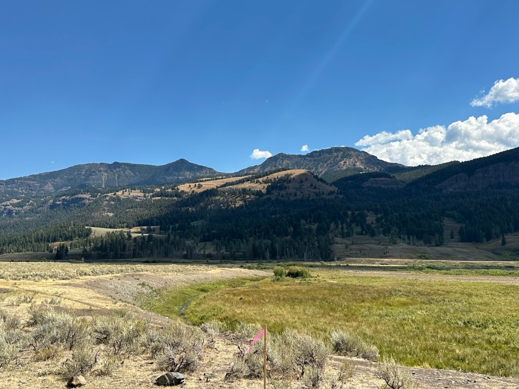 View from Hwy 212  in Yellowstone National Park in Wyoming, USA.