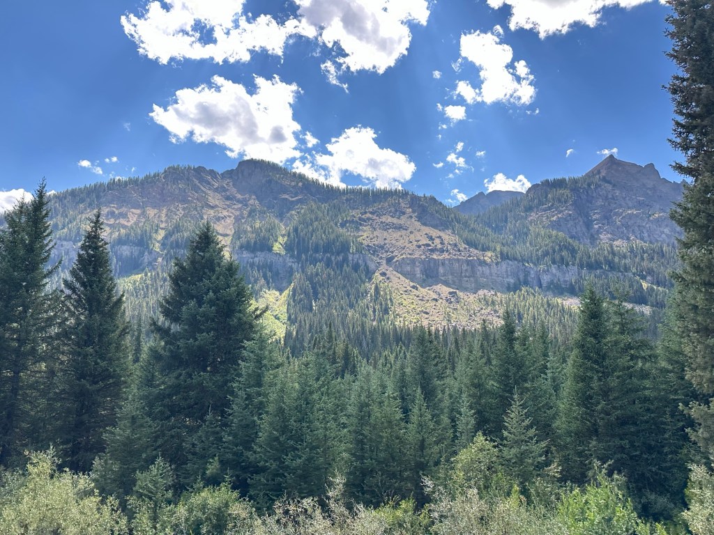 View from Hwy 212  in Yellowstone National Park in Wyoming, USA.