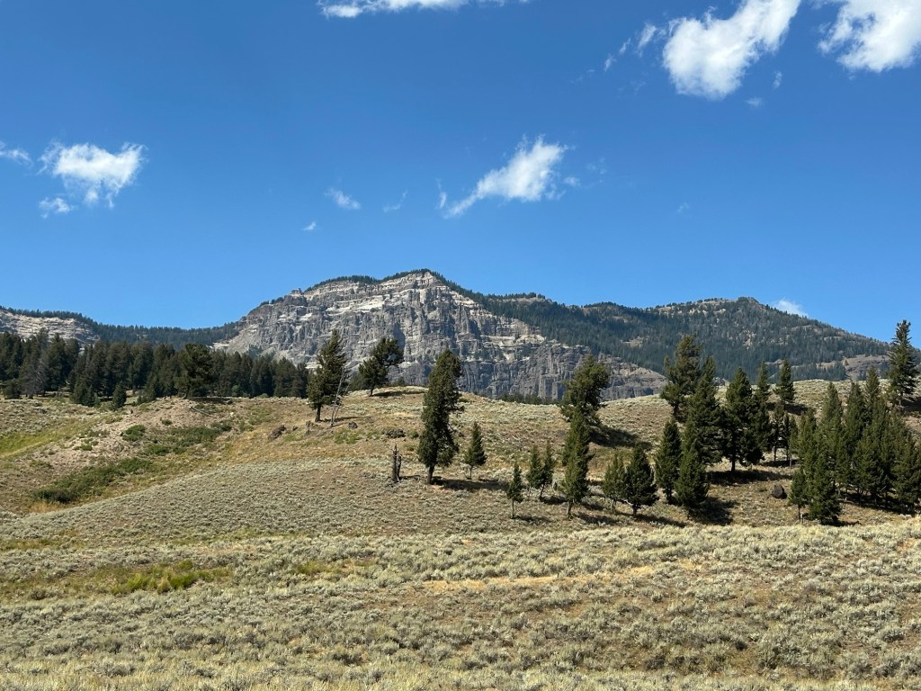 View from Hwy 212  in Yellowstone National Park in Wyoming, USA.