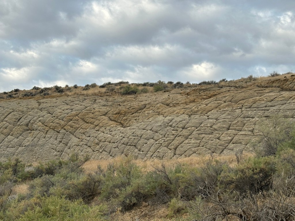 View on Red Gulch Scenic Byway in Shell, Wyoming, USA.