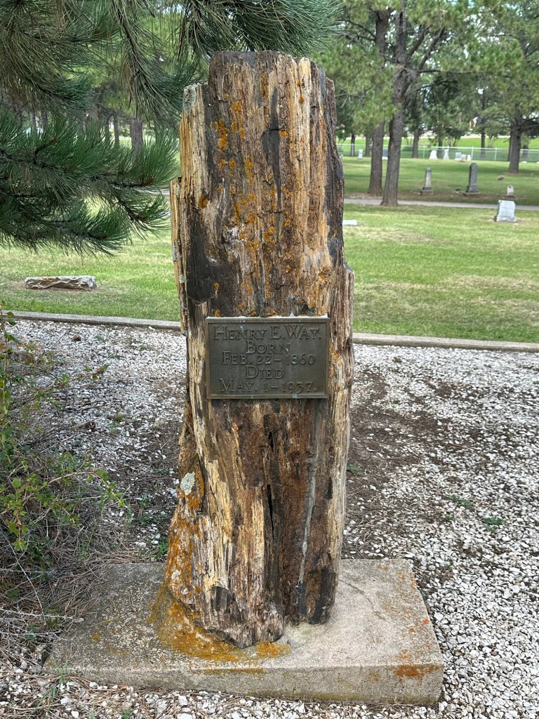 Petrified wood headstone in Custer Cemetery in Custer, South Dakota, USA.