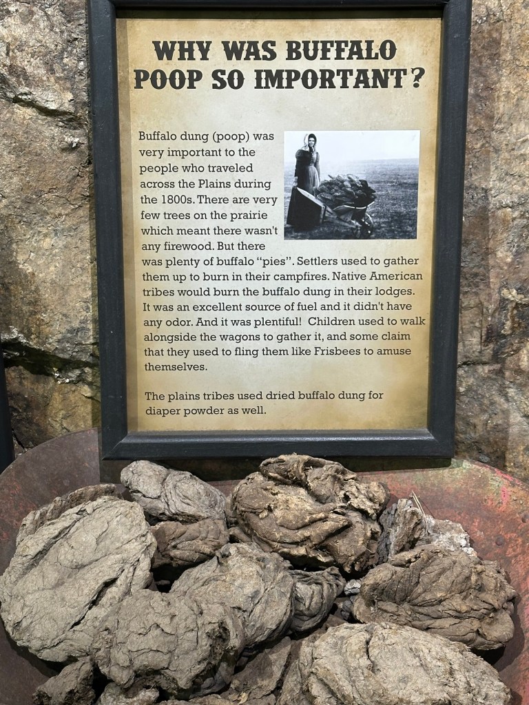 Buffalo poop Frisbees at Indian Museum of North America in Crazy Horse, South Dakota, USA.