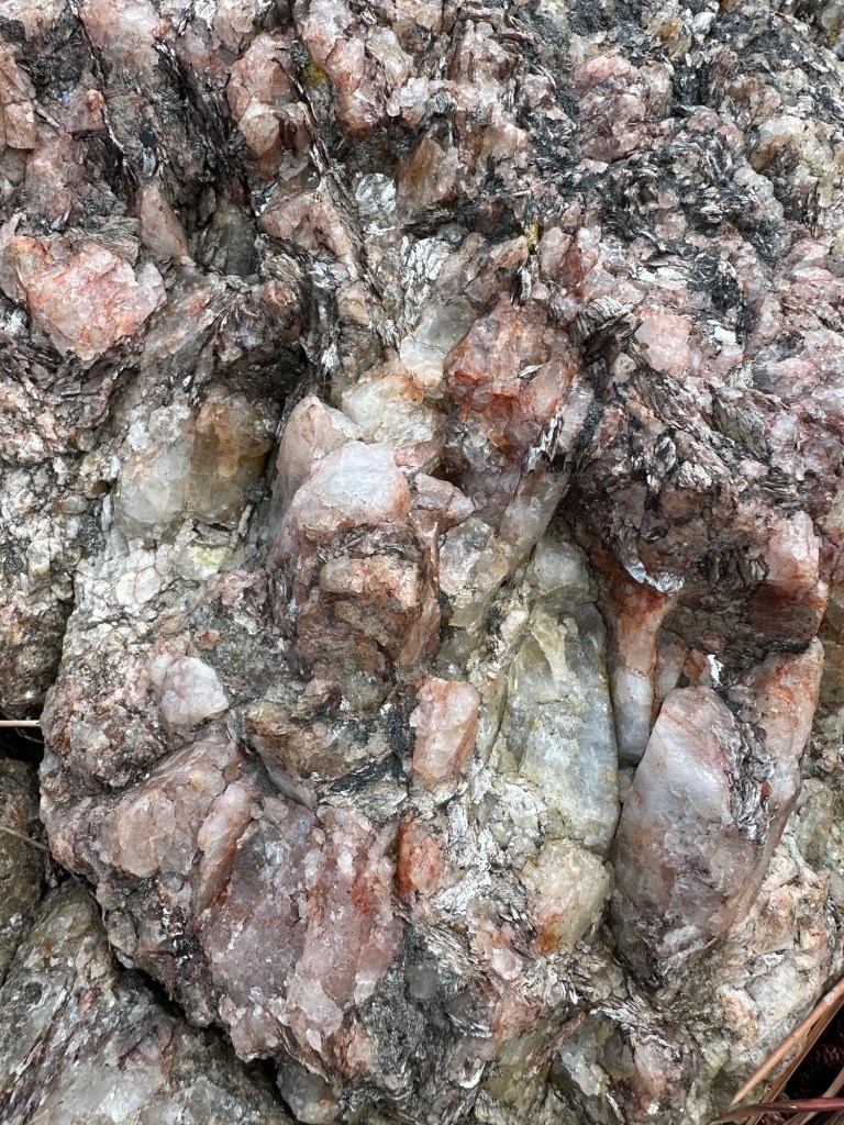 Beautiful rock in Black Hills National Forest in Custer, South Dakota, USA.