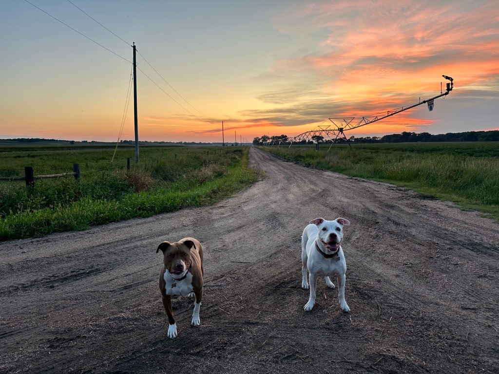 Marcel and Peter near Bramble State Wildlife Management Area in Morse Bluff, Nebraska, USA.
