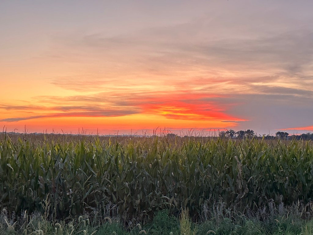 Sunset near Bramble State Wildlife Management Area in Morse Bluff, Nebraska, USA.
