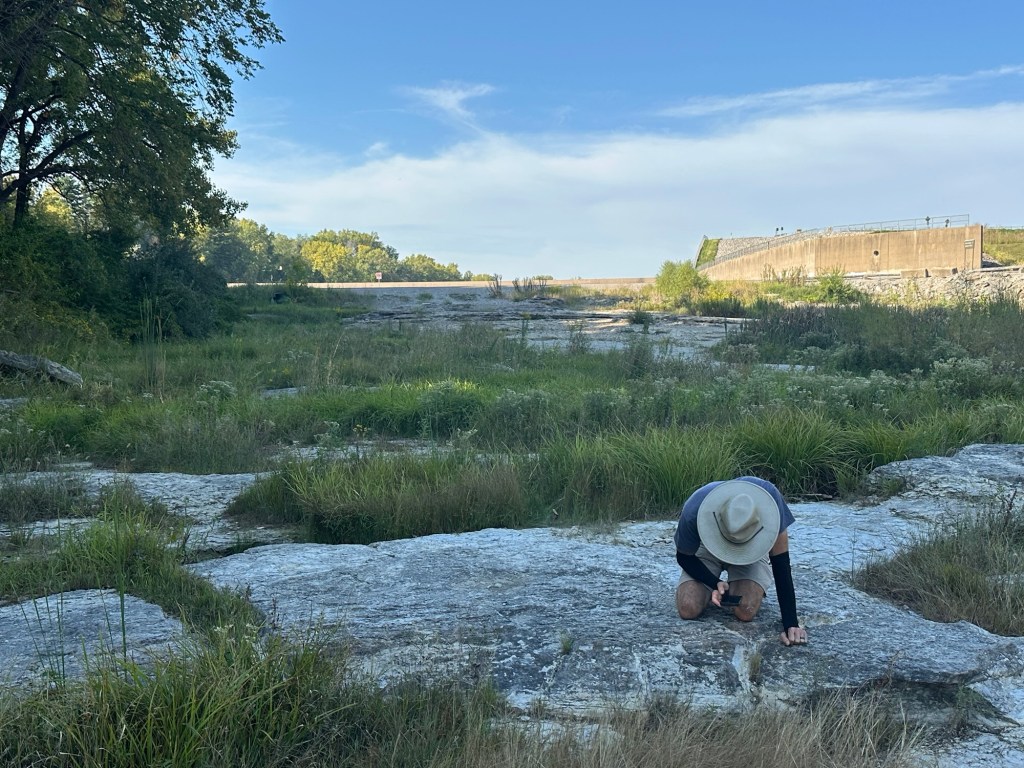 Daniel looking at fossils at Devonian Fossil Gorge in Iowa City, Iowa, USA.