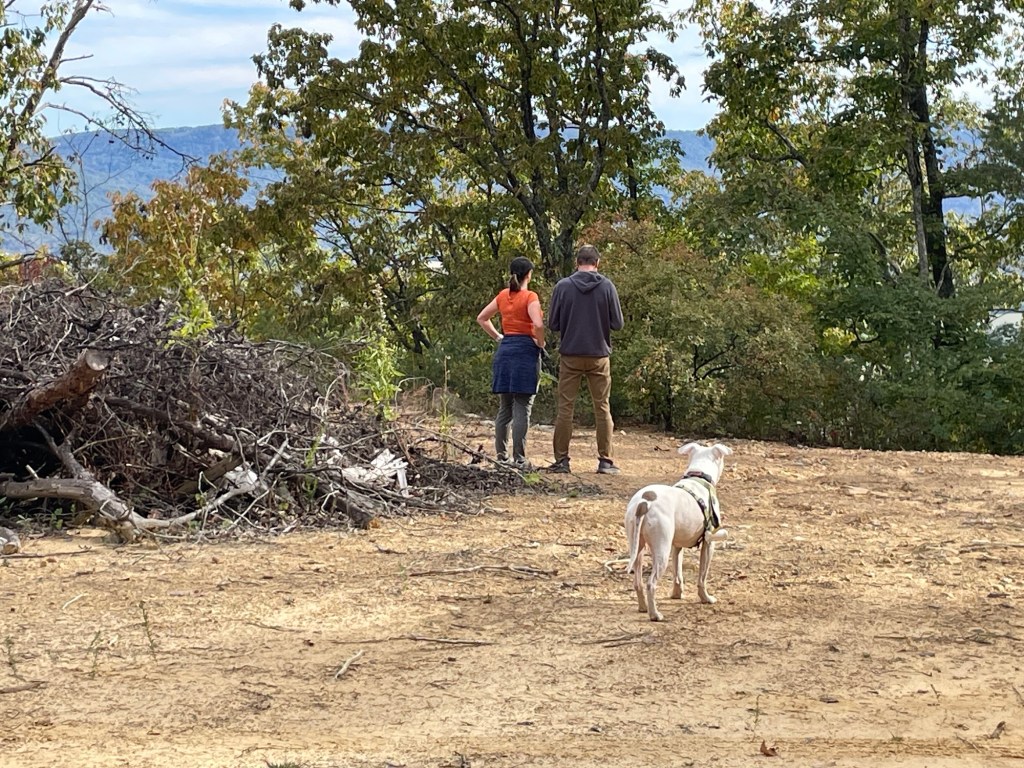 Kristin, Daniel, and Peter check out cleared pad for house in Dunlap, Tennessee, USA.