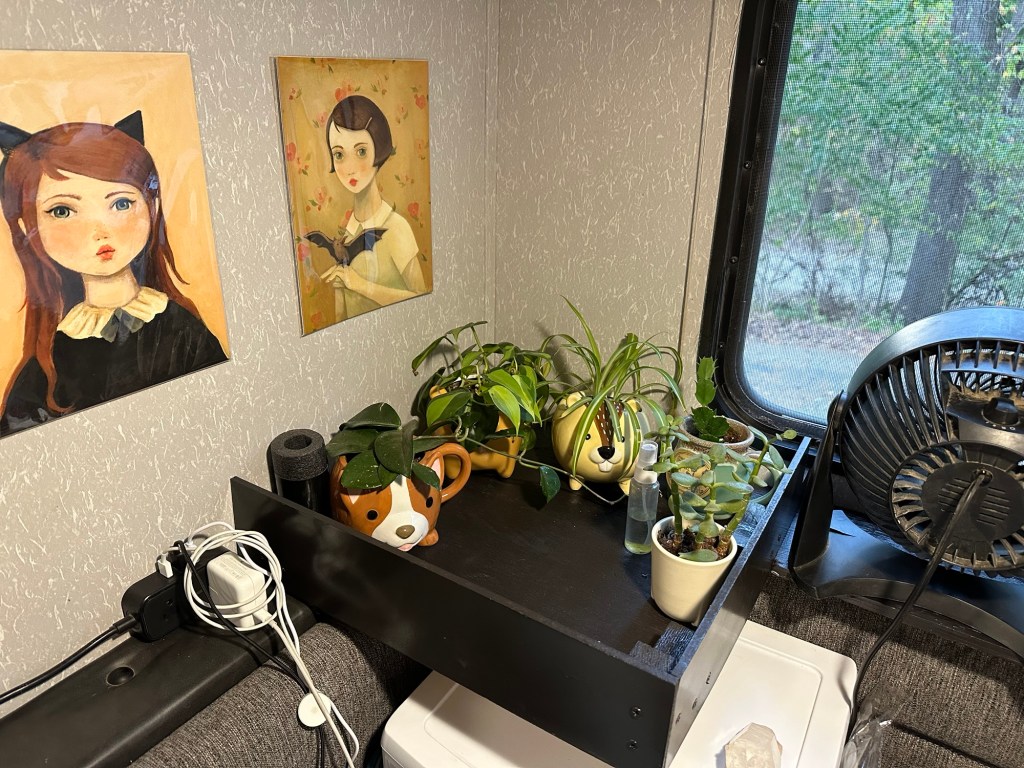 Plant shelf in dinette slide out of camper.