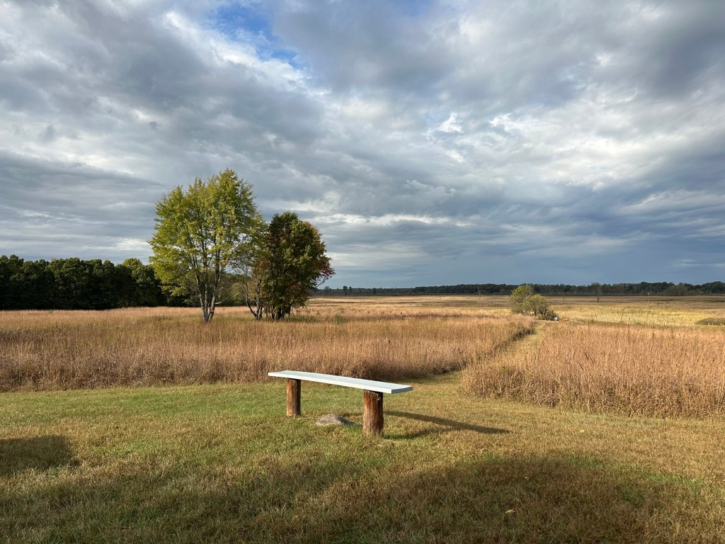 Bench at Haehnle Sanctuary in Grass Lake, Michigan, USA.