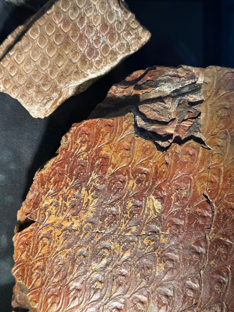 Slate with fossils at Coke Oven Museum in Dunlap, Tennessee, USA.