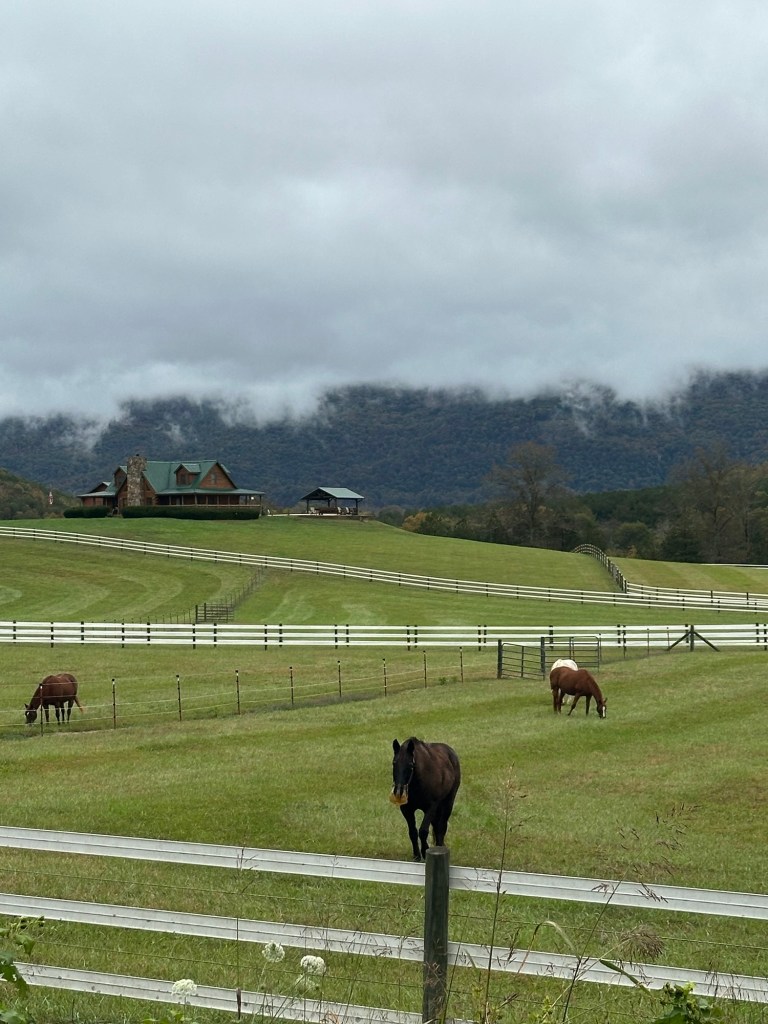Horse farm with rolling hills in Dunlap, Tennessee, USA.