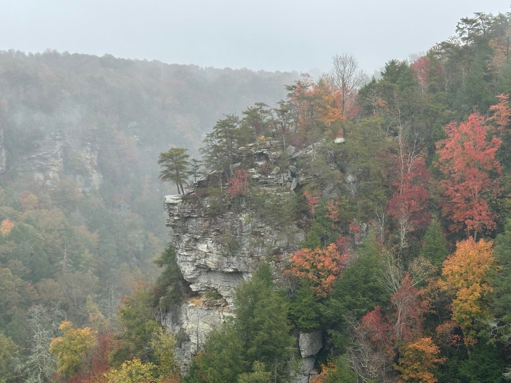 Rocks and fall colors at Fall Creek Falls State Park in Spencer, Tennessee, USA.