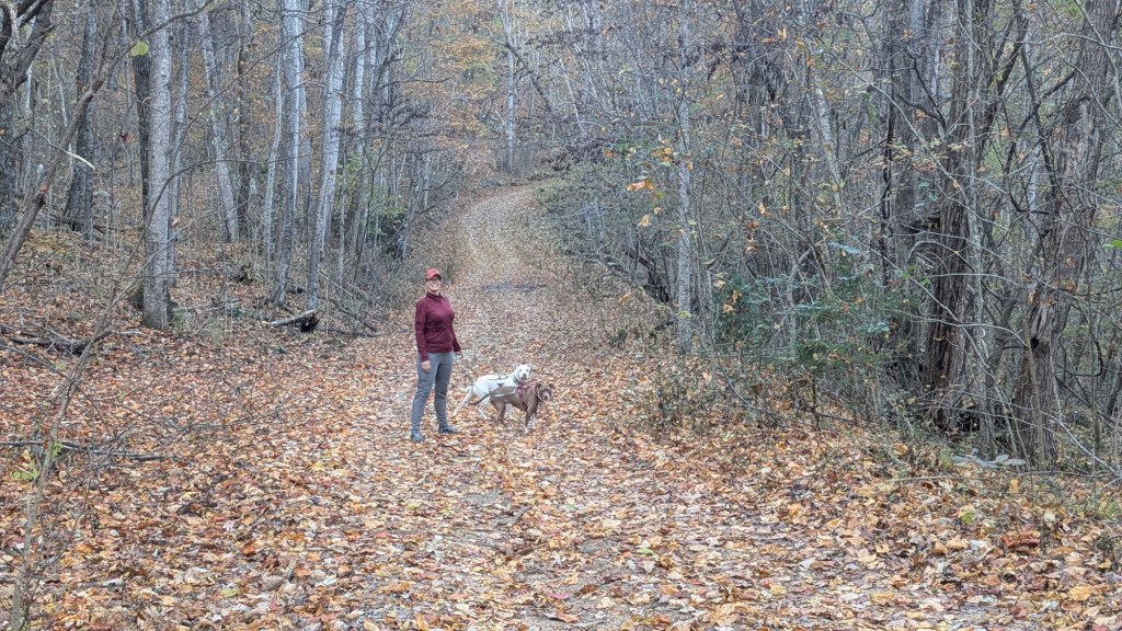 Kristin Dubay, Peter the Pit bull, and Marcel the Pit Bull in Dunlap, Tennessee, USA.
