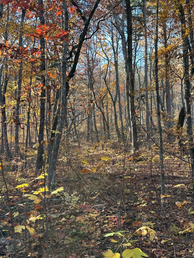 Fall colors in Sequatchie Valley near Dunlap, Tennessee, USA.